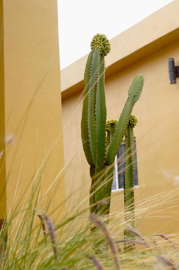 Cozy & Quiet Pet Friendly Studio Ensenada Luaran gambar